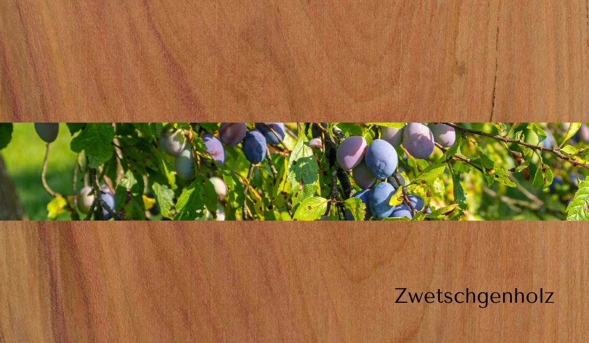 groetsch-lockenkamm-f-r-gro-e-locken-10cm-holzkamm image 7
