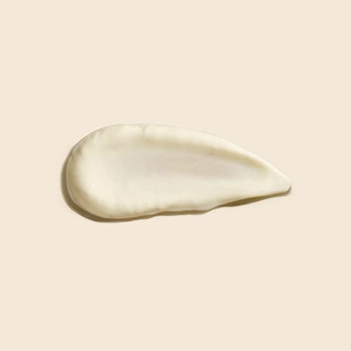 ahava-clineral-x-zem-head-to-toe-cream-ganzk-rpercreme-200-ml image 7
