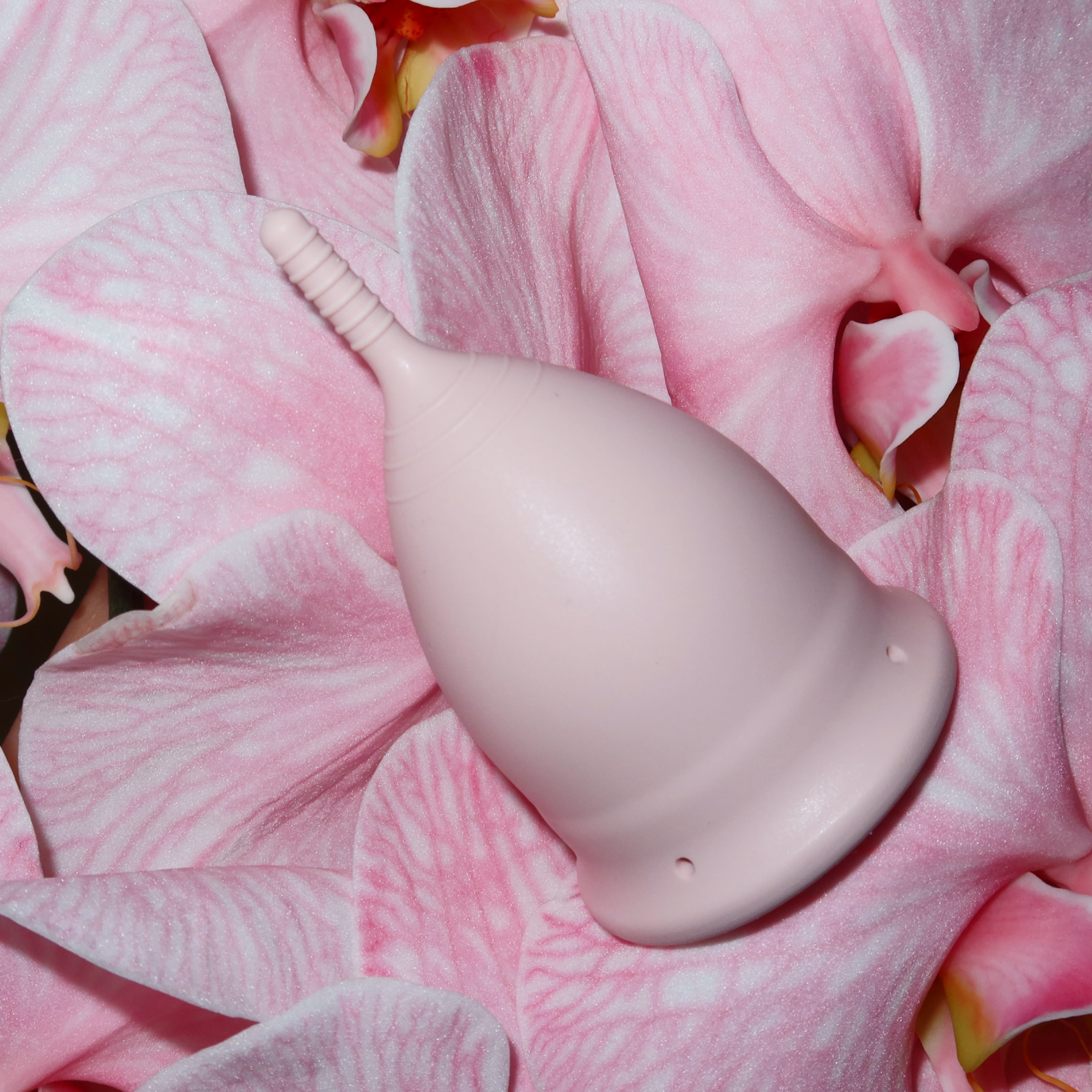 divine-cup-menstruationstasse-rosa image 8