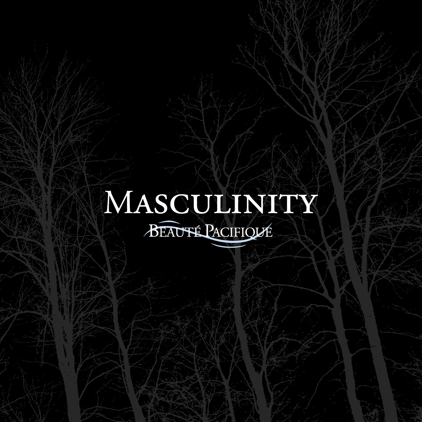 beaut-pacifique-masculinity-brosch-re-info-heft image 1