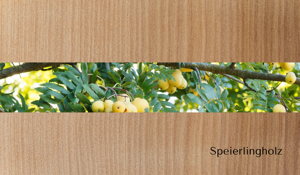 groetsch-lockenkamm-f-r-gro-e-locken-10cm-holzkamm image 6
